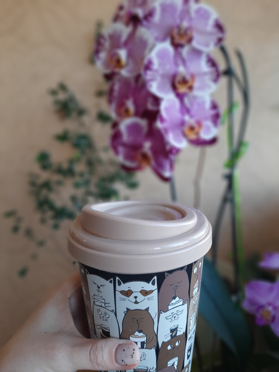 Я обожаю чай, но пью его сама))) На заднем плане фаленопсис Сакрифайс