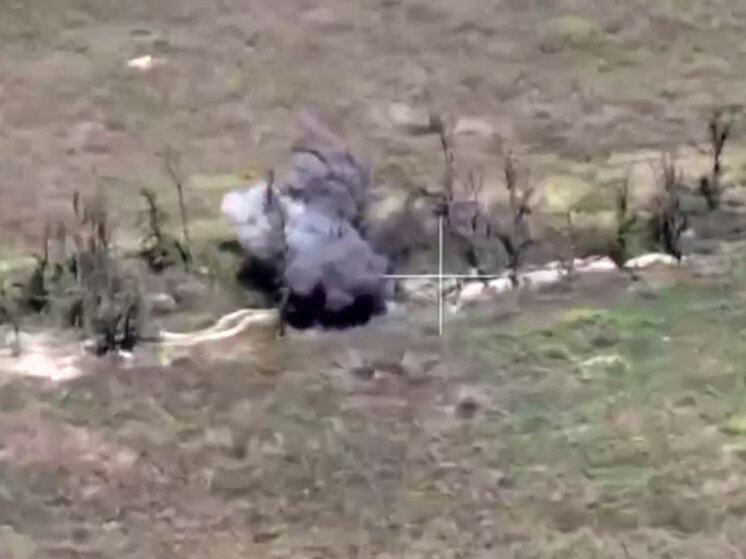     Фото: Министерство обороны РФ