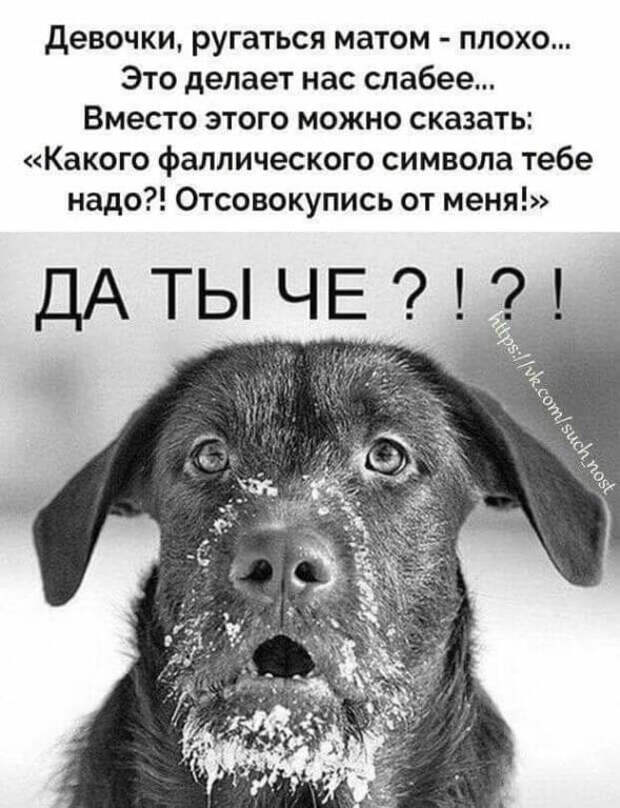 Я ничего плохого не делаю. Юмор с матом. Ругательства в картинках. Смешные матерные цитаты. Приколы про матерные слова.