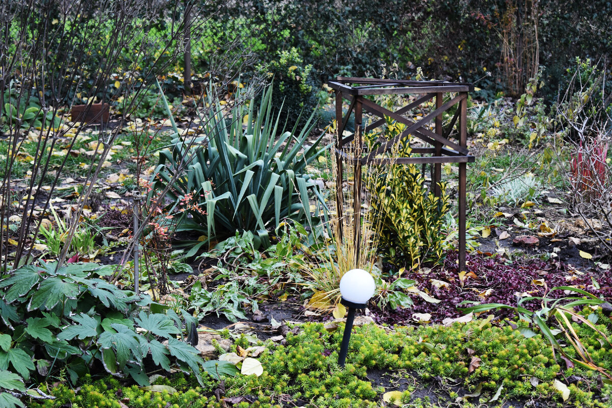 Опора для поддержки клематиса/пиона осенью становится "клеткой" для бересклета