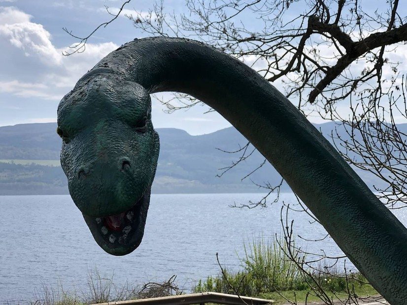 The loch ness monster has a. Озеро Лохнесс Несси. Монстр озера Лохнесс. Несси Лохнесское чудовище. Лох Несс чудовище.