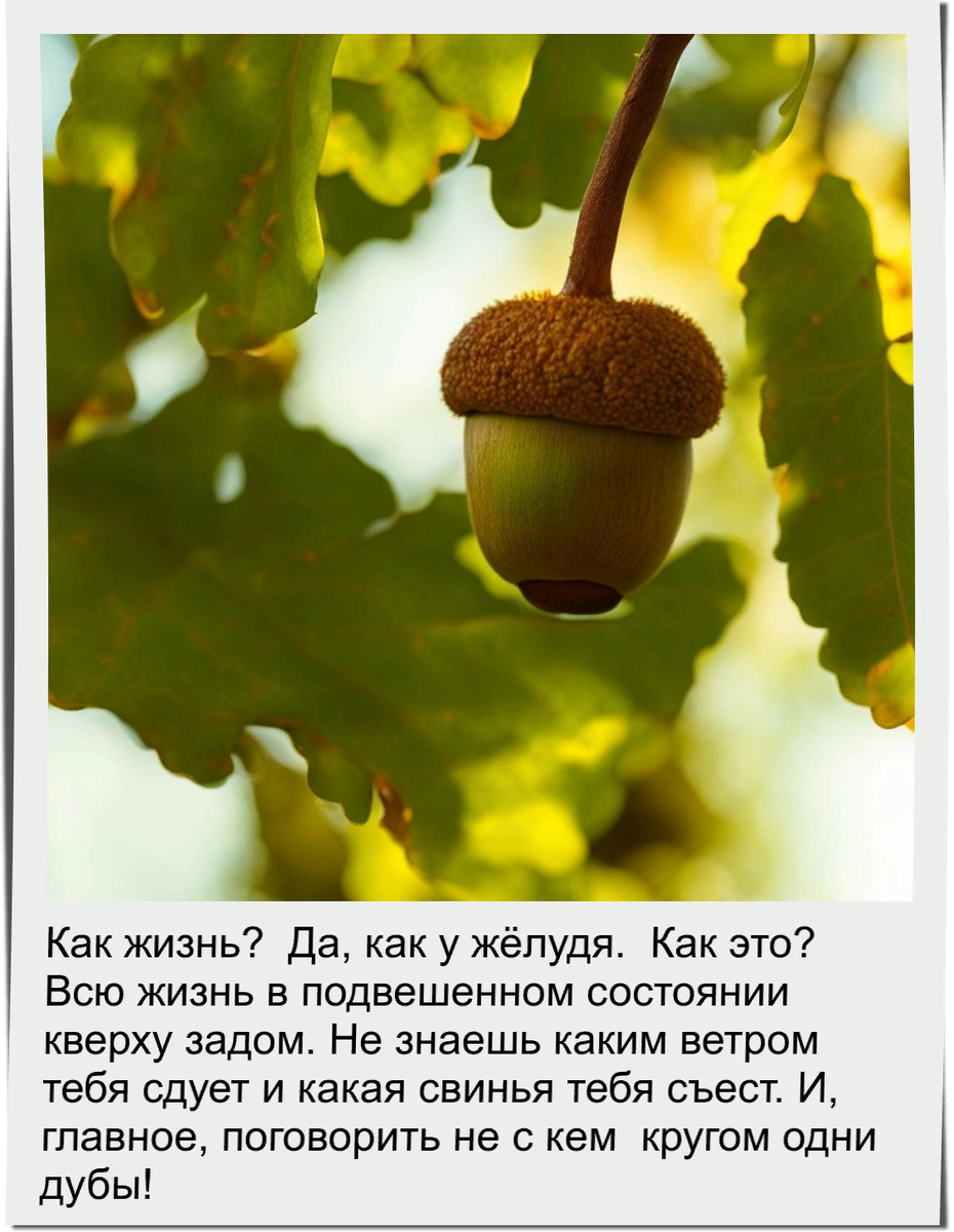 Сгенерировано в нейросети Кандинский 2.2