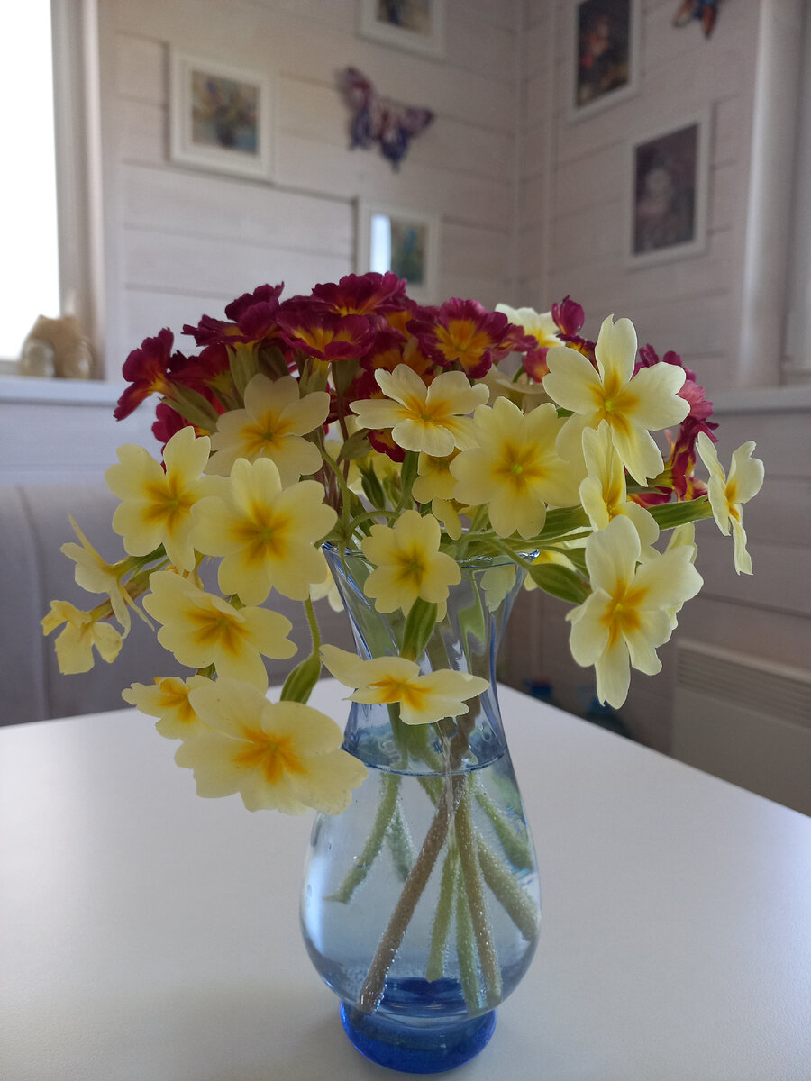 «Истина в простом». Анна Емельянова