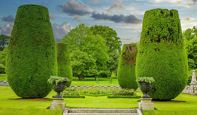    Фото: pixabay.com