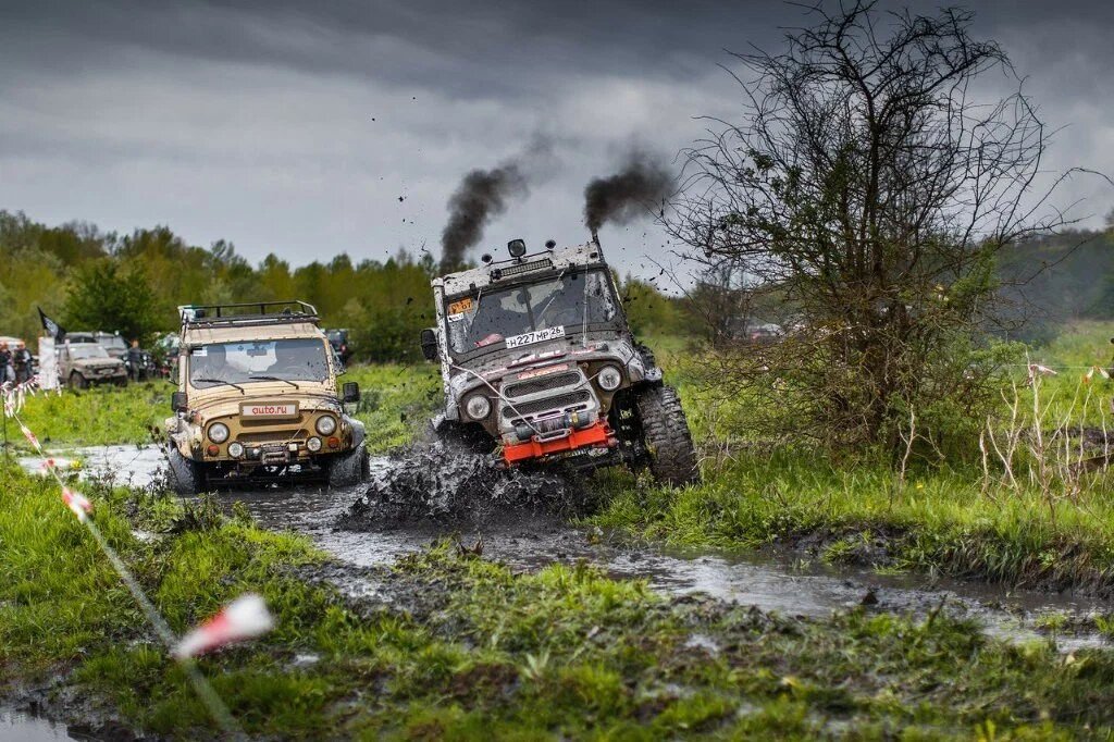 Из открытых источников.