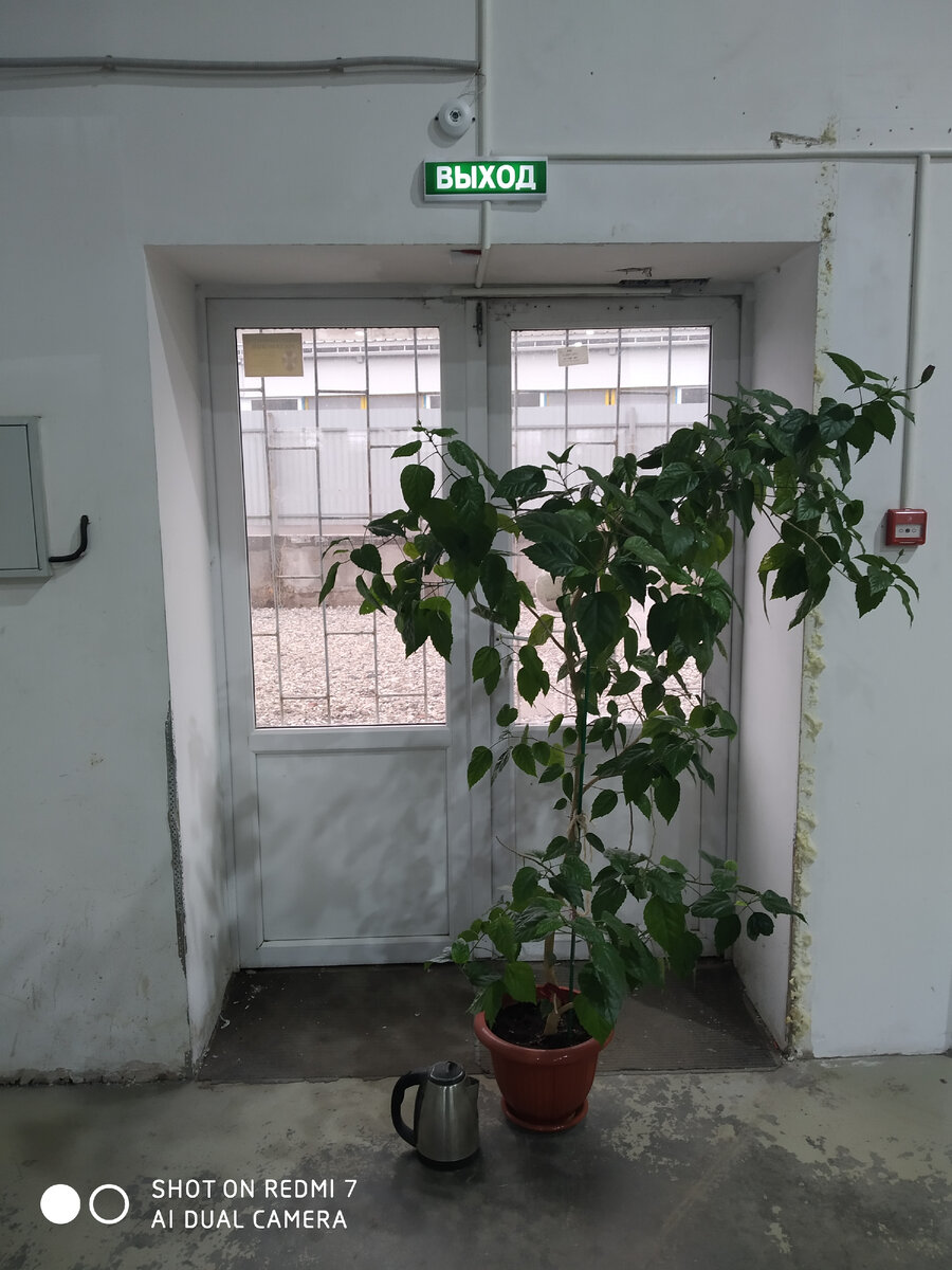 Путь эвакуации не может быть легким. Фото автора.