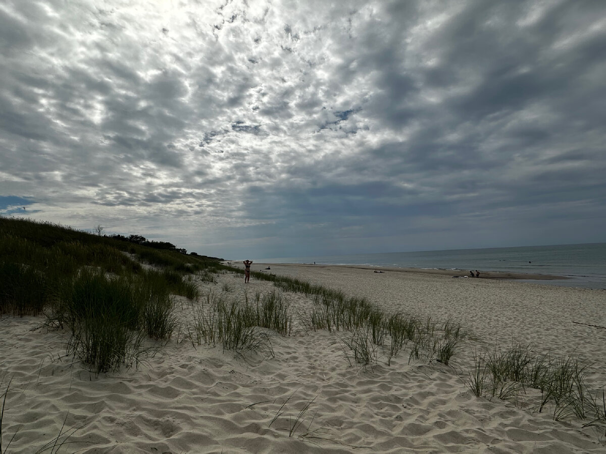 Куршская коса