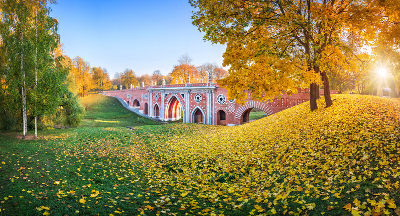 istockphoto.com