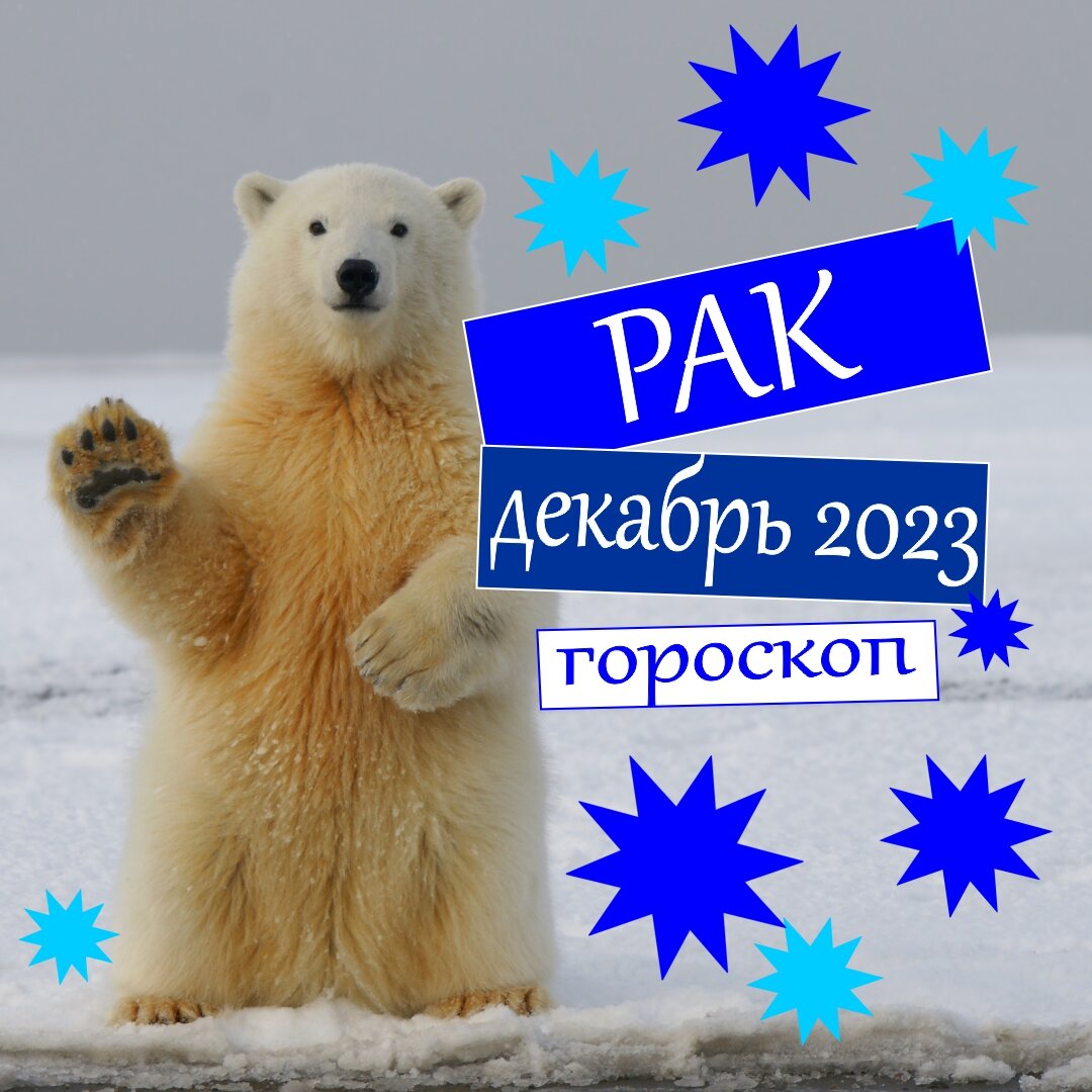 Рак. Гороскоп на декабрь 2023: деньги, любовь, работа, здоровье | Гороскопы  от Астролога | Дзен