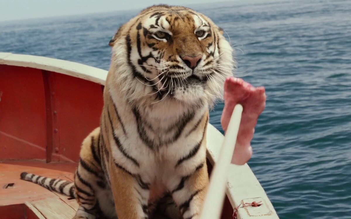 Мальчик плыл с тигром. Жизнь пи зебра. Жизнь пи 2012. Мальчик плыл с тигром. Тигр океан.