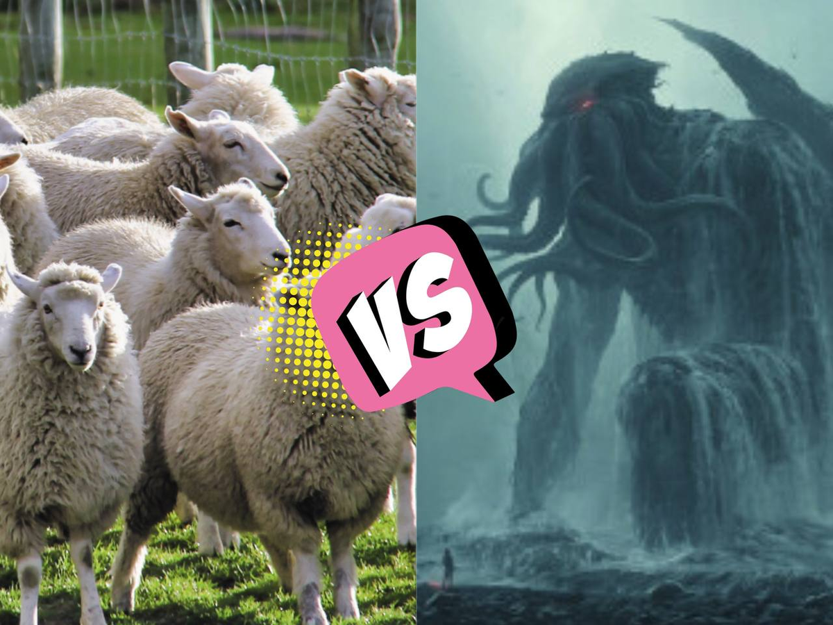 V sheep