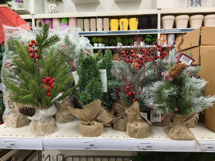     Есть и совсем маленькие деревья / Анастасия Дудалова