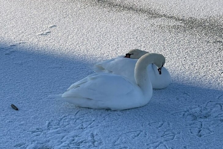    Фото «Искитимской газеты»
