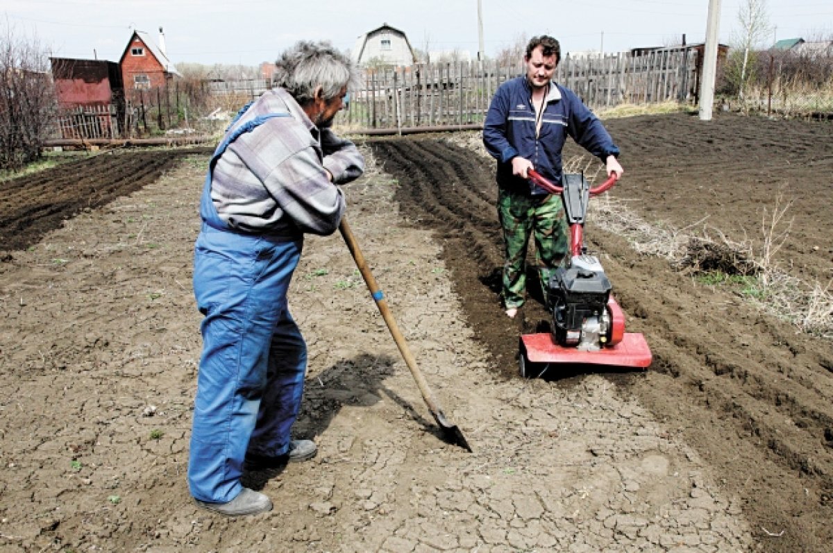    В Чувашии просят признать ездоков на мотоблоках водителями