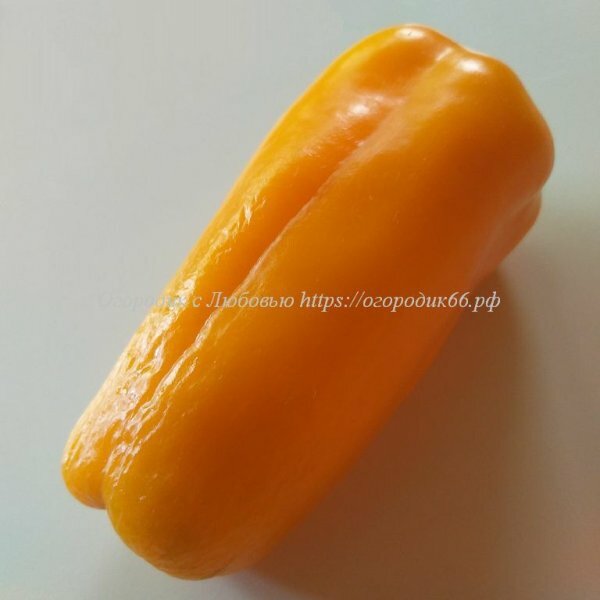   Big Dipper Gold, 