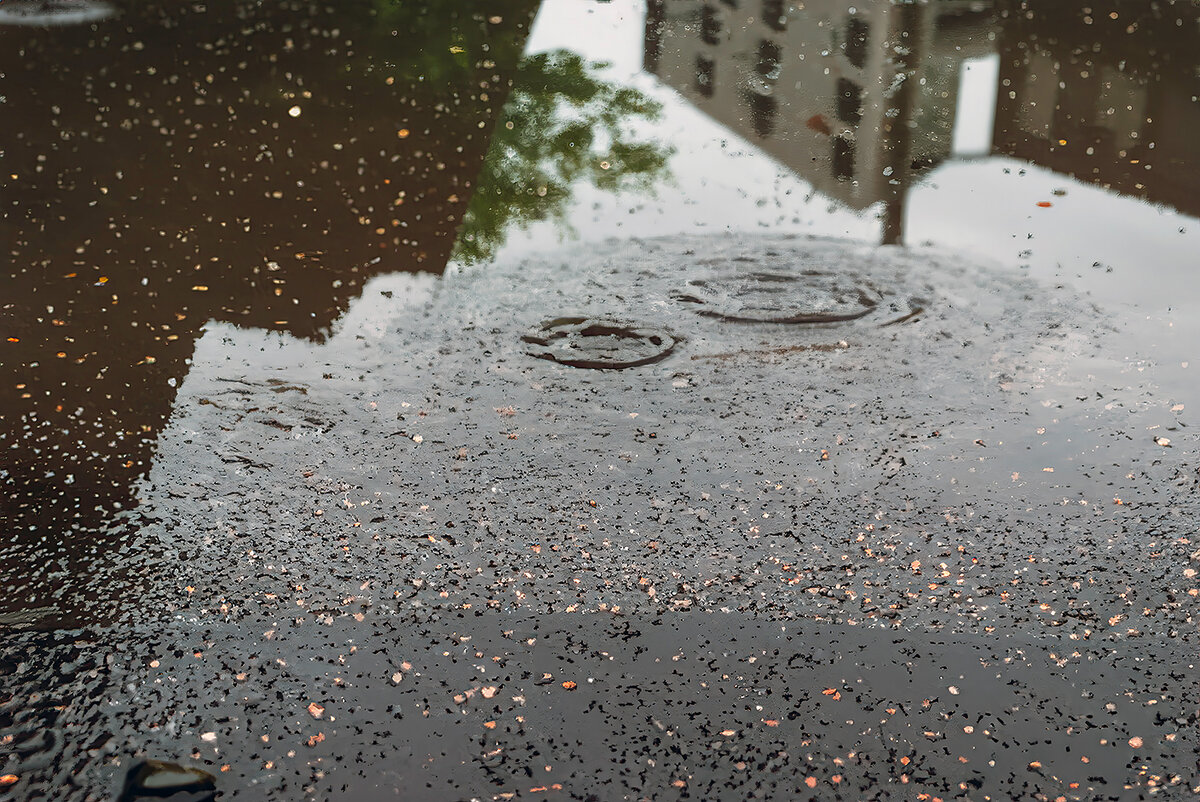  Дождь создает отличные условия для создания отражений на мокрой поверхности.