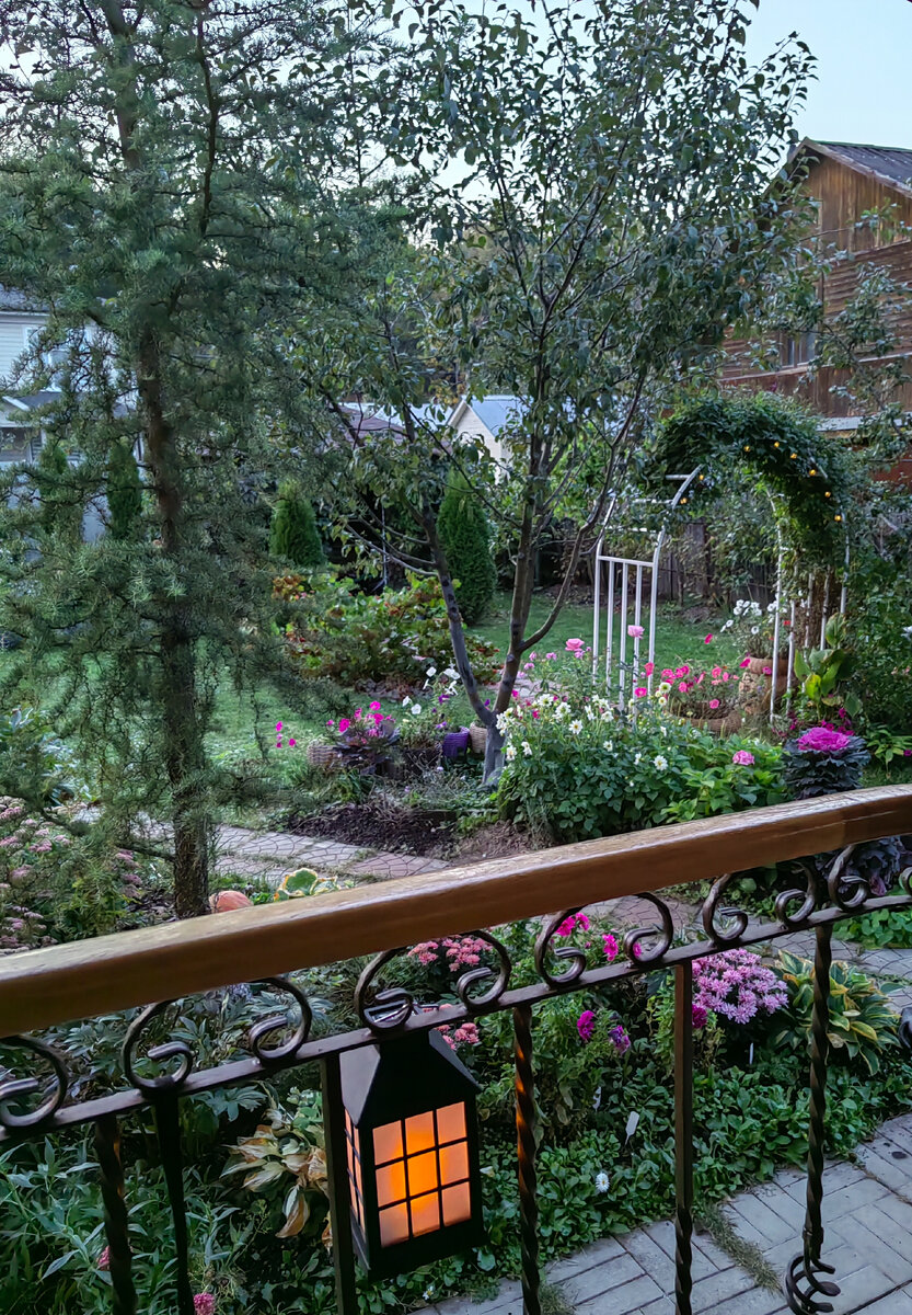 На переднем плане слева лиственница. Фото автора