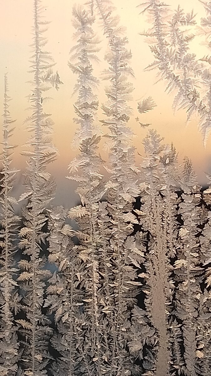Фото автора. Рисунки мороза на стекле. 