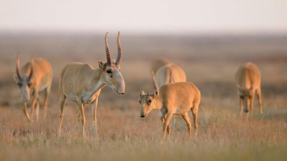    Фото: Gov.kz Август Макаров
