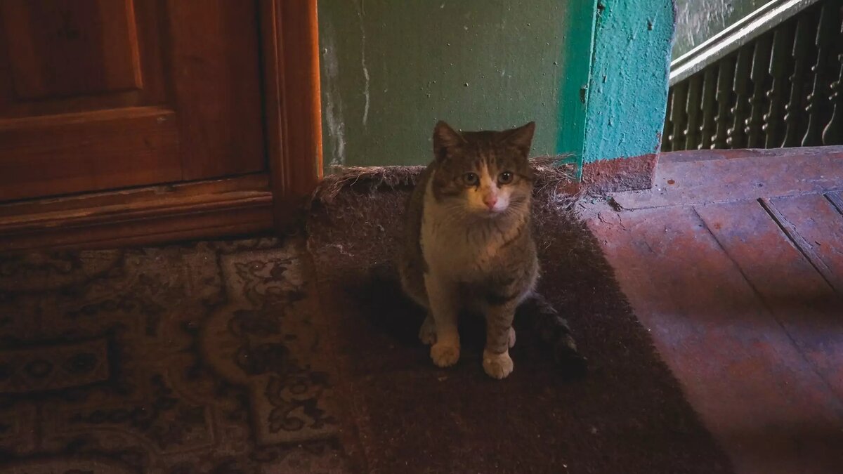     В Удмуртии в текущем году 910 жильцов аварийных домов улучшили свои жилищные условия, благодаря проекту «Жилье и городская среда». Всего за 2023 год в России из аварийного жилья было переселено более 104 тысяч человек по данным Росстата.