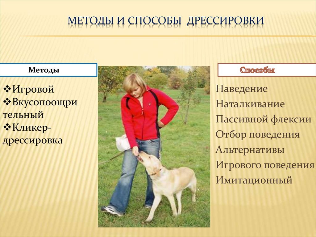 Отбор поведения