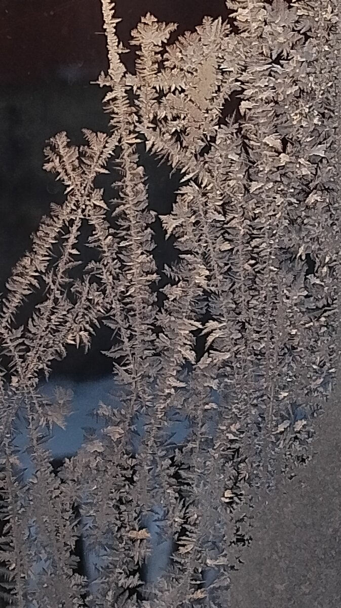 Фото автора. Морозные кружева на окне.