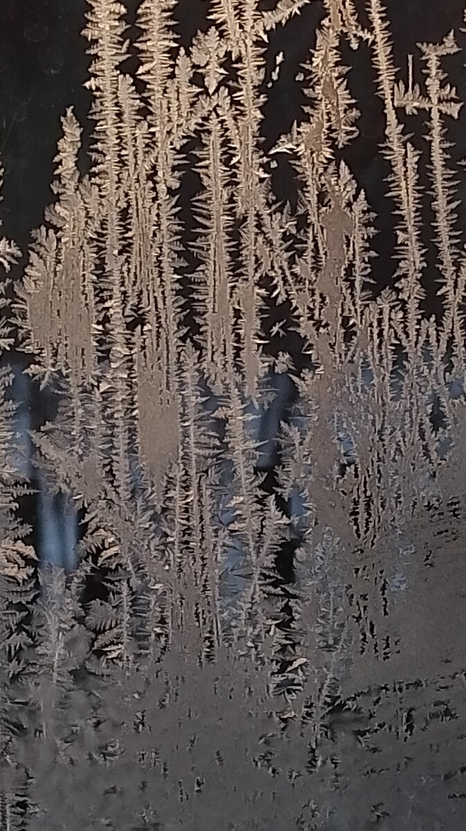 Фото автора. Морозные кружева на окне.