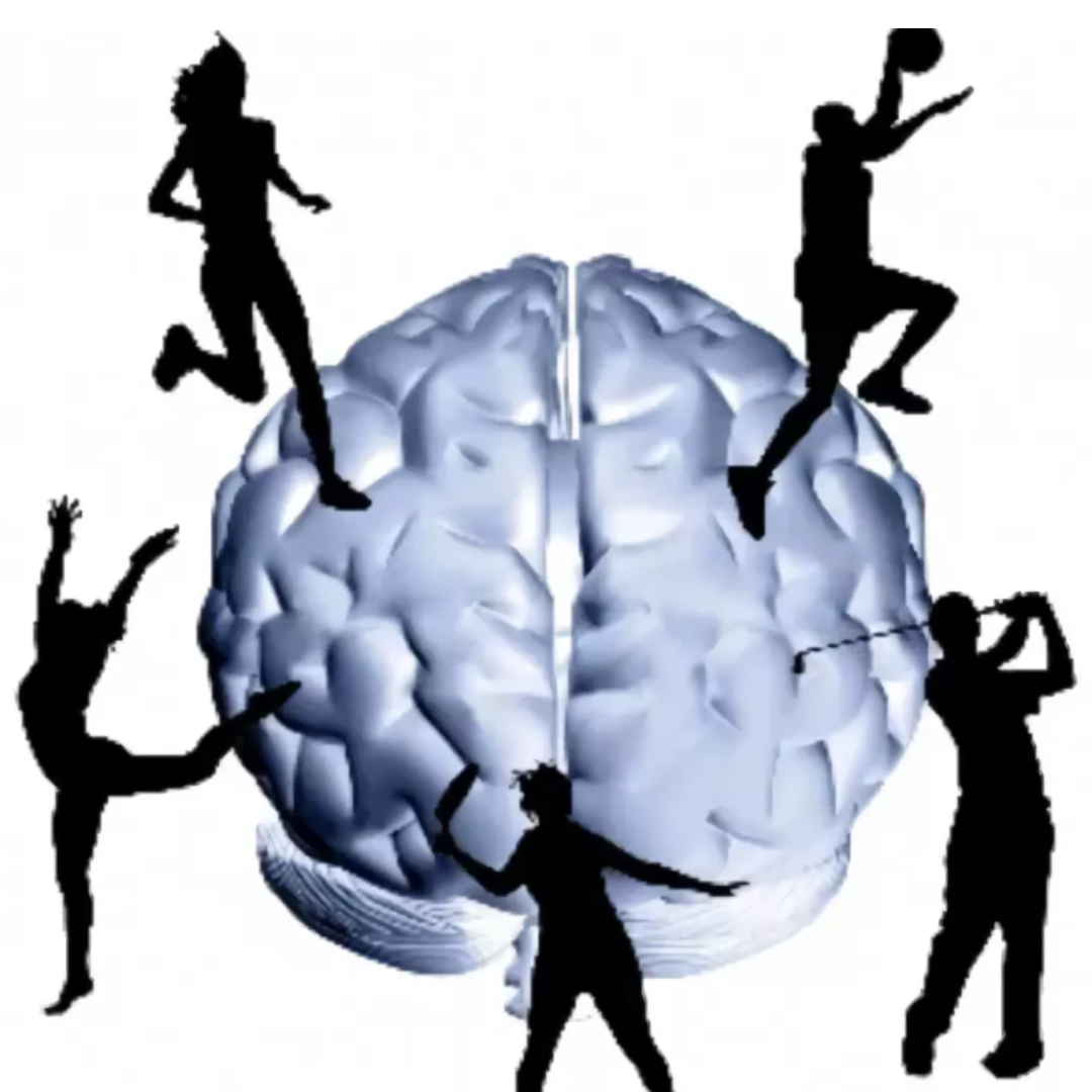 Ментальная тренировка. Двигательная память. Физическая и умственная деятельность. Двигательная память человека.