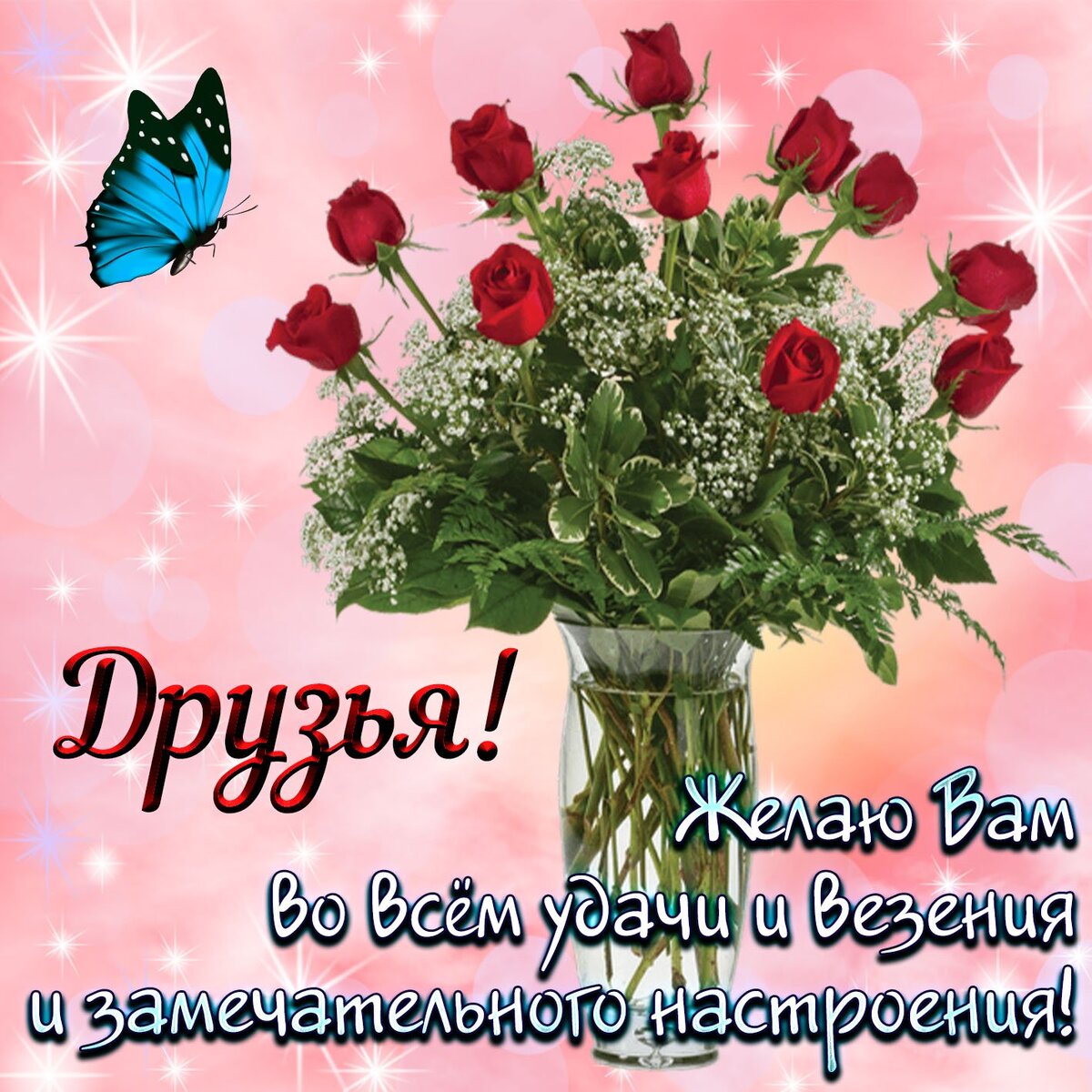 фото из интернета