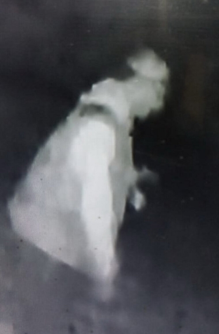    Нарушителя удалось выявить благодаря отключению электричества в районе Нового Златоуста