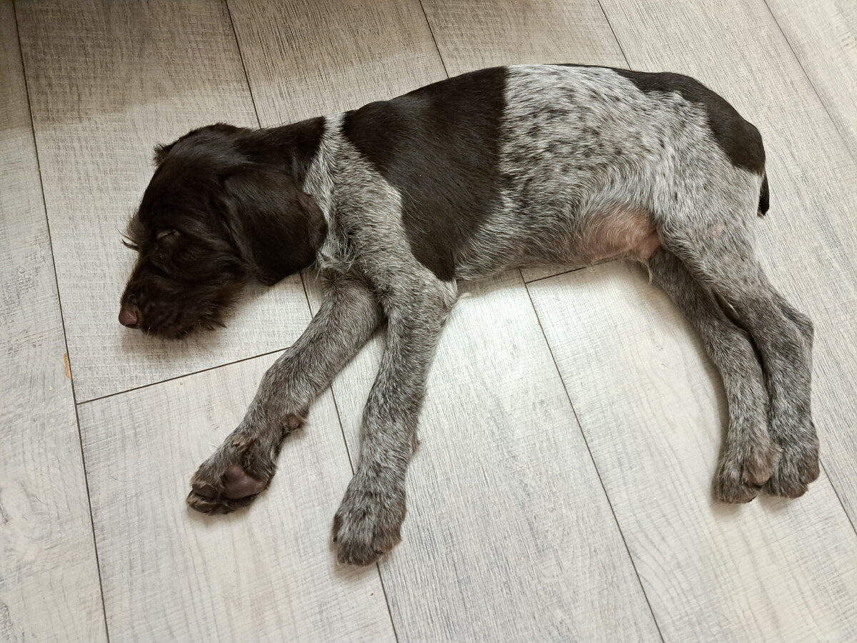 Фото из личного архива