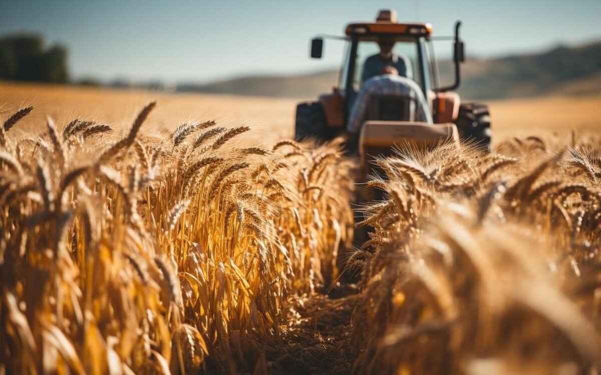    Космический мониторинг полей и удаленное обслуживание клиентов – как происходит страхование сельхозрисков Фото с ru.freepik.com