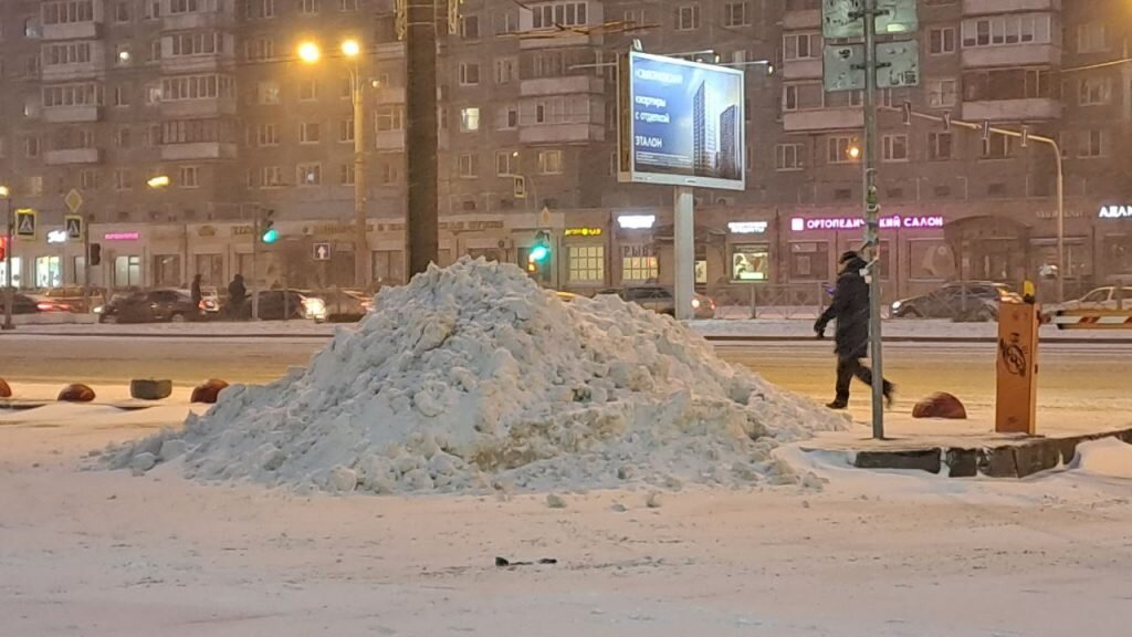    Проспект Просвещения. Фото: Мойка78