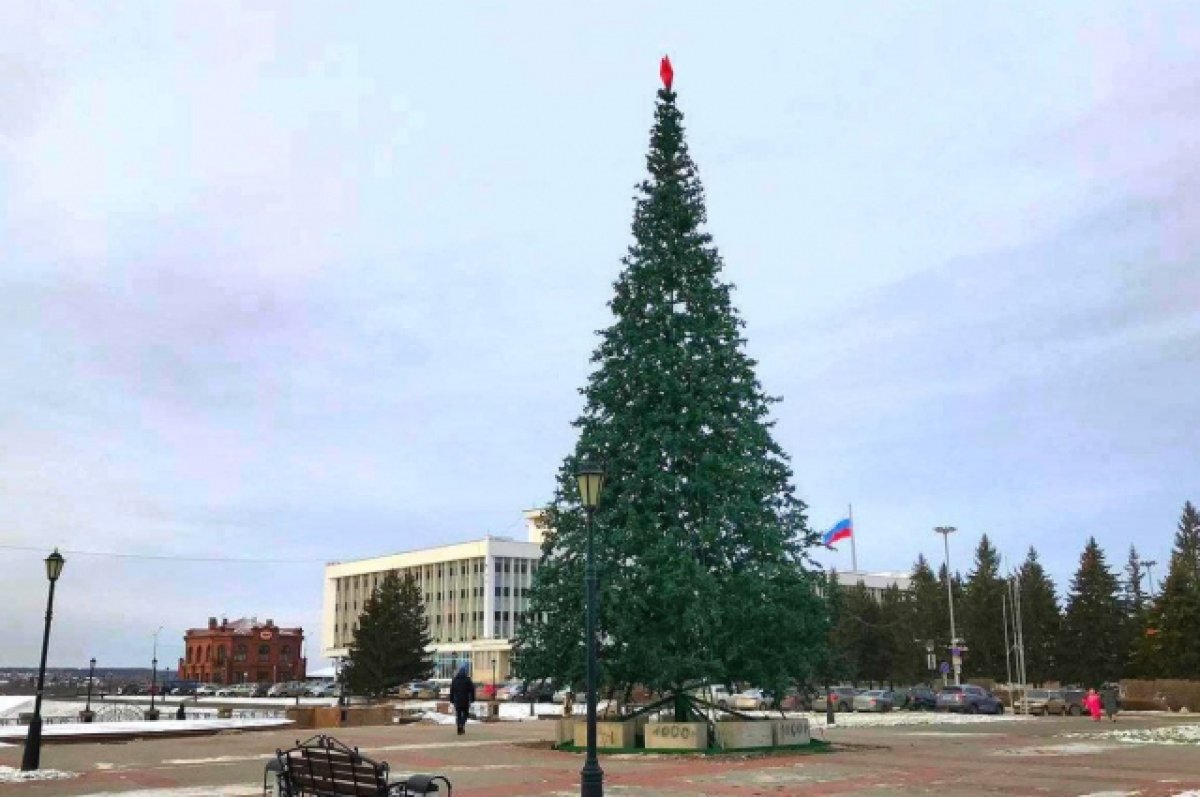    Еще одну новогоднюю елку установили в Томске