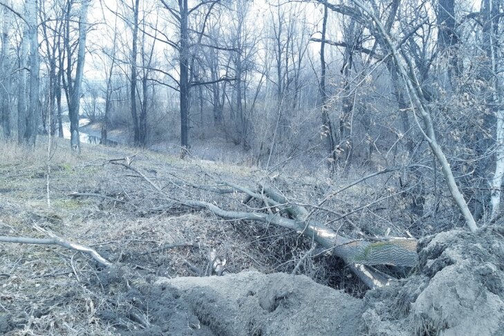    Фото Антона Нелидова