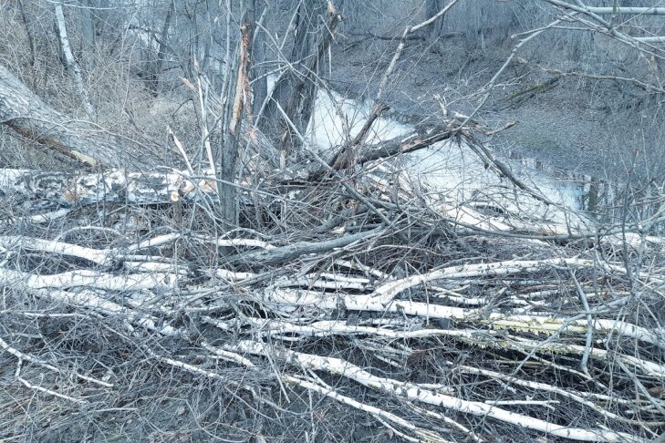 Фото Антона Нелидова.
📷
