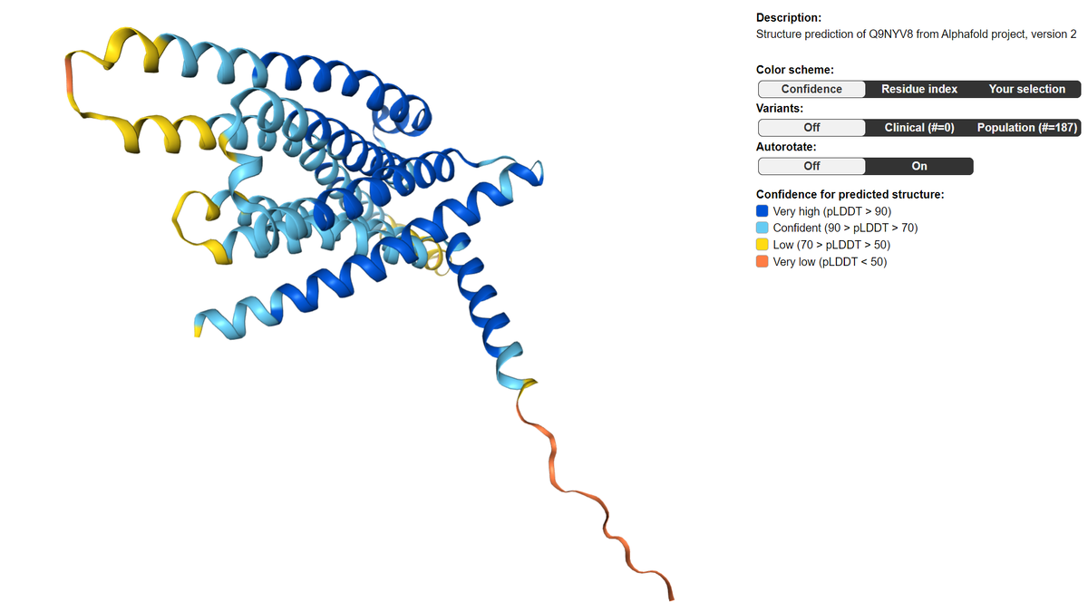 T2R14 рецептор
