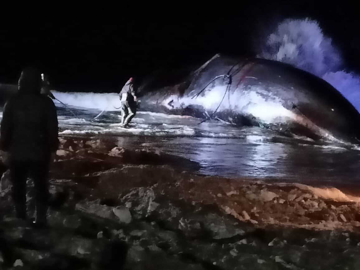 Фото: ТСО "Лорино" 