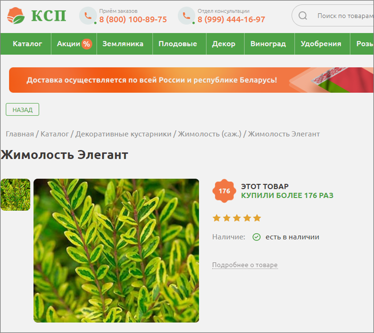 форум хаус закупки растений. декоративные домашние цветы. форум хаус закупки растений. грин хаус минусинск. дом абрикосов двор.