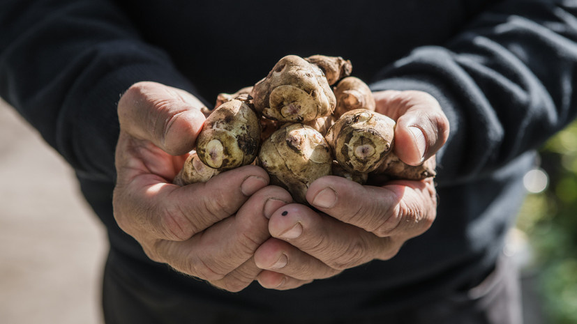 Назван продукт, полезный при диабете