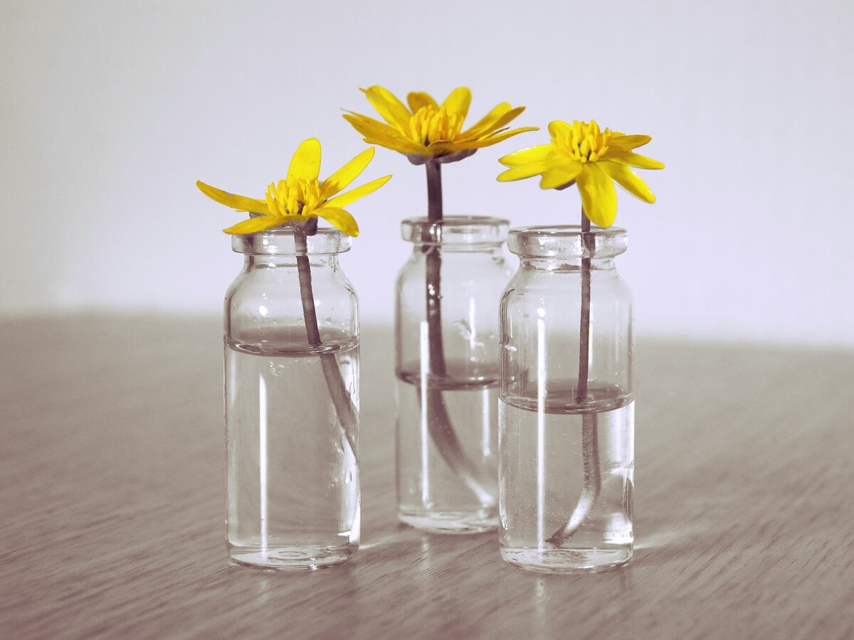 Photo by Elena G / Unsplash 