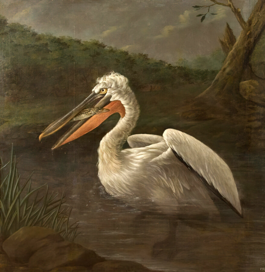 "Пеликан" И.Ф. Гроот, 1750-е. Музей-заповедник "Царское село".