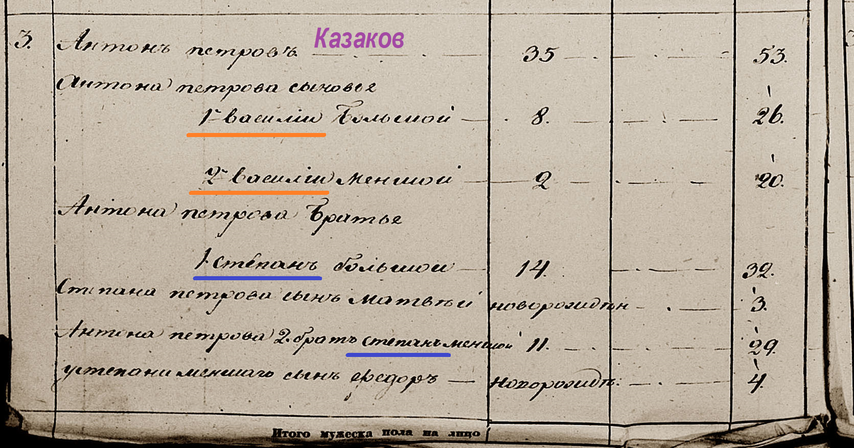 1834 год. Ревизская сказка сельца Тормина.