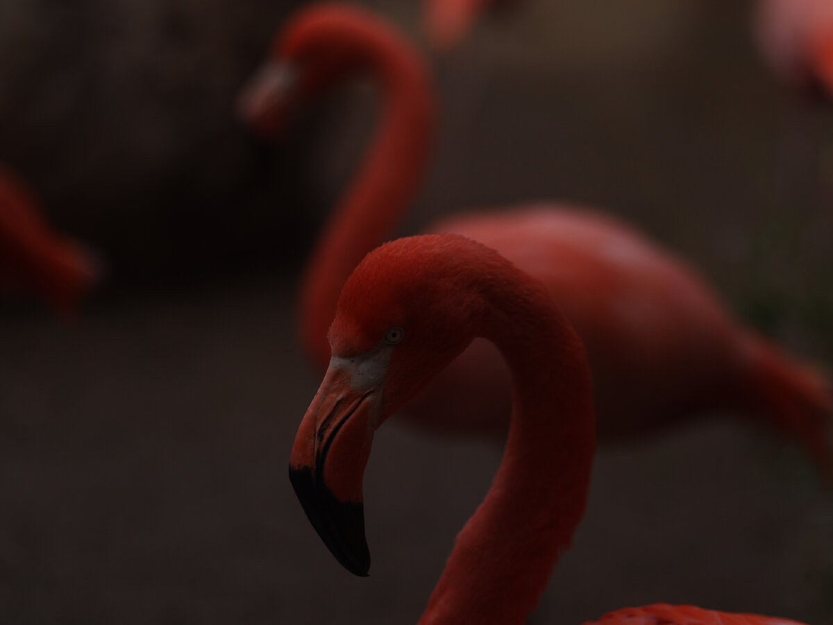 Картинка с бесплатного фотостока https://unsplash.com, автор  Hannah Tu