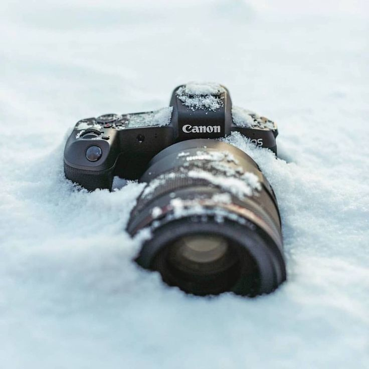 Фото из открытых источников Яндекс 