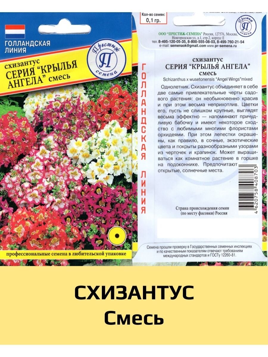 Фото открытых источников