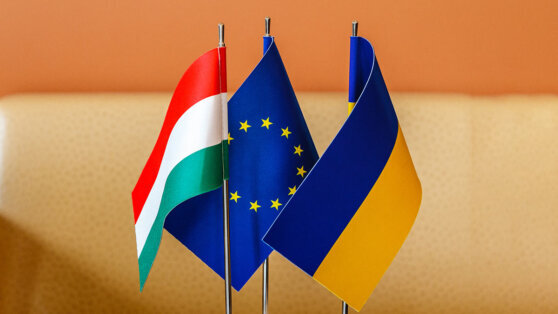    На Украине заявили, что не станут делать исключения для венгерского меньшинства Анастасия Романова