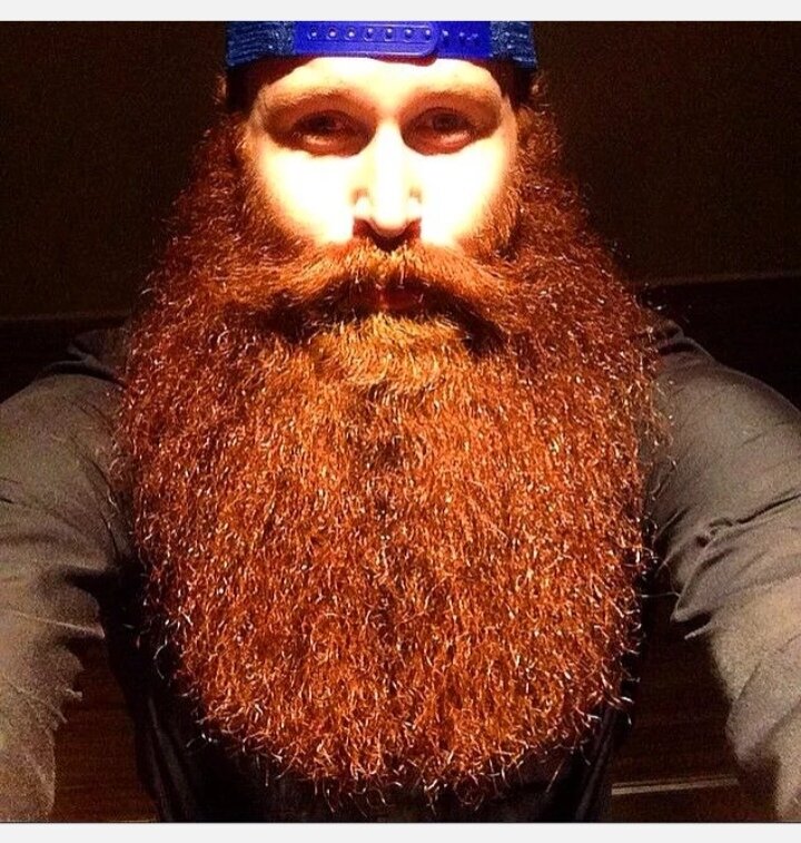 Славянские прически мужские. Почему бородатая. Почему бородатая. Окладистая борода. Длинная рыжая борода.