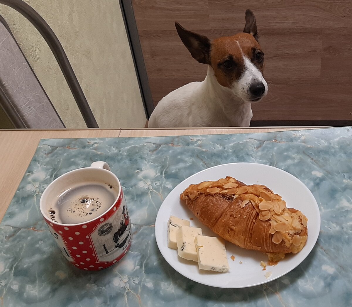 На фото все продукты из Пятерочки. Мой завтрак.