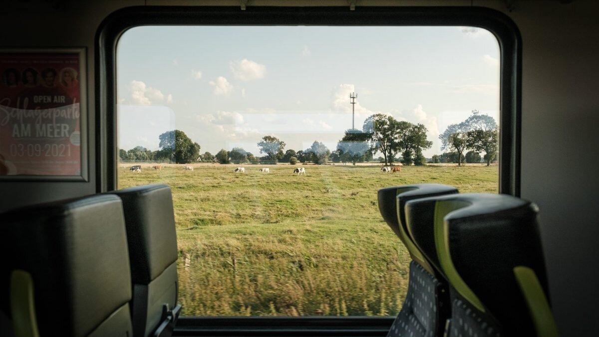    Фото: unsplash.com. Август Макаров